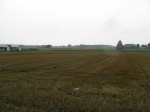 小麦の収穫が終わった畑